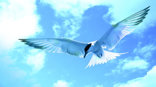 ���(y��ng)�d�ʯ���O(sh��)�����޹�˾